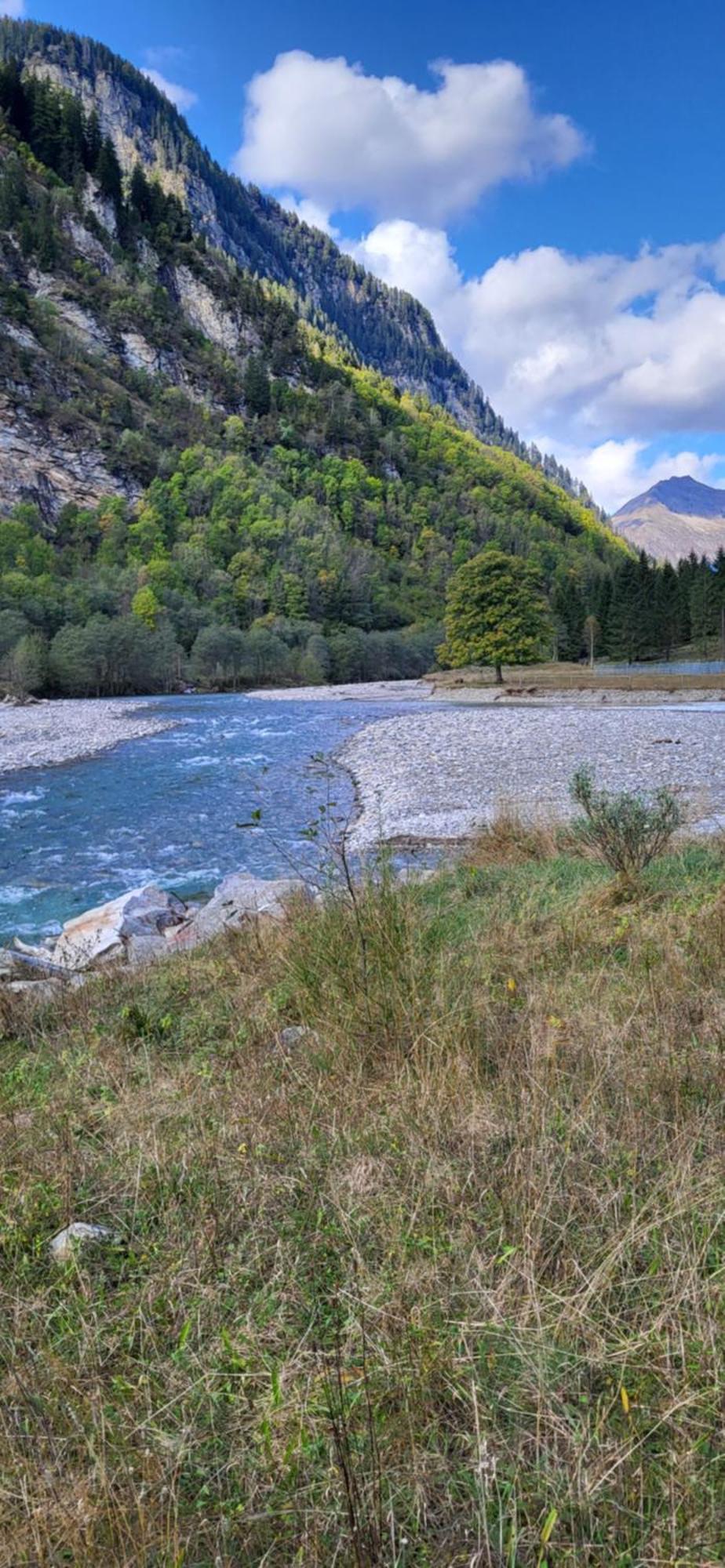 Casa Oliver, Tra La Calanca E I Castelli Di Bellinzona Grono Buitenkant foto